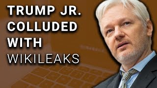 Bombshell Leaks Expose Trump Jr Contact with Wikileaks