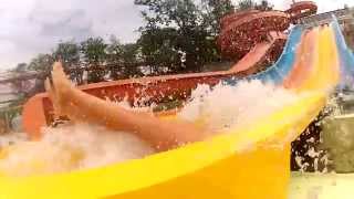 Лесная поляна GoPro
