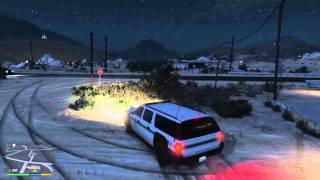 GTA 5 The Civil Border Patrol Gold(100%)