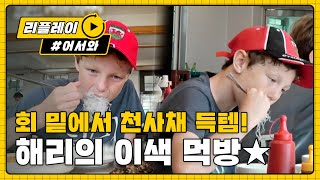 [어서와 한국은 처음이지 105화] '회 밑에 깔린 천사채' 먹는 사람 처음 봐...!