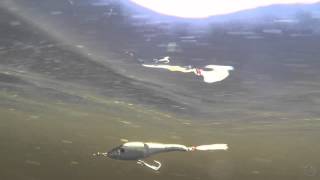 Sebile Magic Swimmer Snagless 110F