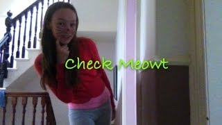 Check Meowt! Videostar