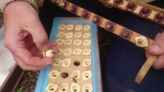 Прививочный ящик, вывод маток часть 2я 2017 год.