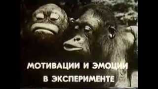 НаучФильм. Физиология Мотиваций и Эмоций