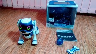 РОБОТ ЩЕНОК TEKSTA (TEKNO) четвертого поколения. Обзор. Посылка из Америки.