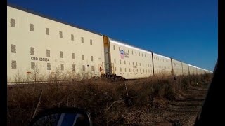 Поезда FEMA пришли в движение. К чему бы?