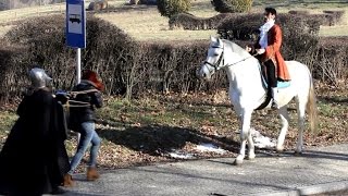 Prince on a White Horse Valentine's Day Surprise (Sadam)