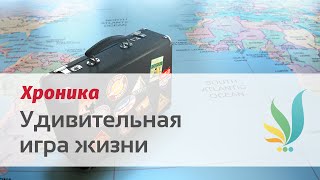 Удивительная Игра Жизни. Итоги - Катерина Кальченко