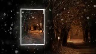 Падал белый снег -  Илья Петровский