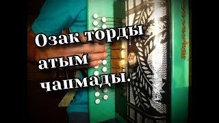 ОЗАК ТОРДЫ АТЫМ ЧАПМАДЫ на гармони + разбор
