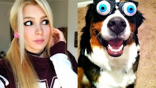 SIRITMAMA - GÜLMEME CHALLENGE !! (Komik Hayvanlar)
