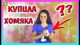 КУПИЛА ХОМЯКА /  КОГО я  ВЫБРАЛА? / Я счастлива /джунгарский hamster  / хомки /Alisa Easy Pets