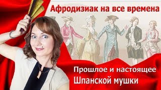 Возбудитель для мужчин и женщин: шпанская мушка. Обзор, действие, история афродизиака