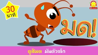 เพลงมดตัวน้อยตัวนิด คาราโอเกะ Little Ant Song / เพลงเด็ก indysong kids