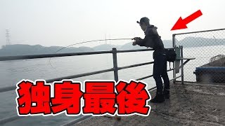 堤防と磯からシーバスを釣り上げろ‼