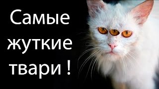 Самые жуткие твари ! ( Species )