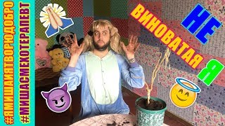 Не виноватая я / ПАРОДИЯ