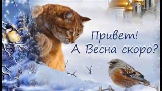 Февральский зимний привет/Позитив для друзей/Красивая музыкальная открытка