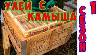 Улей с Камыша для пчел сезон в работе.Первые впечатление.Сильные и слабые стороны