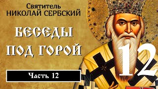 12/20. Беседы под горой. Николай Сербский.