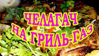 Челагач на сковороде гриль-газ. Вкусные и полезные рецепты