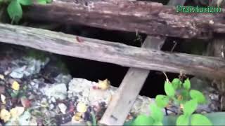 Самое Страшное существо в колодце