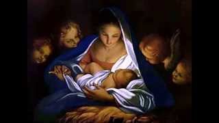 MARY DID YOU KNOW  "Sunshine" Brenda Cole Christian Gospel Christmas Song Mark Lowry Buddy Greene