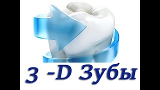 Из чего состоит зуб, иннервация и кровоснабжение  Структура зуба, десны и периодонта  3 Д графика