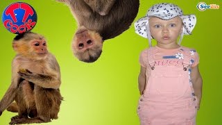 Кукла Штеффи и Ярослава на прогулке - Зоопарк Анталии. Кормим Животных Видео для детей Часть 2