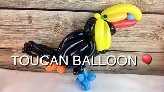 #toucan #balloonanimals #balloonanimal  Watch me make a Toucan out of 260 balloons ?