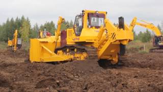 Бульдозер ЧЕТРА Т-40 на тест-драйве