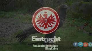 RapAusLeidenschaft **Eintracht Frankfurt am Main** ADLER