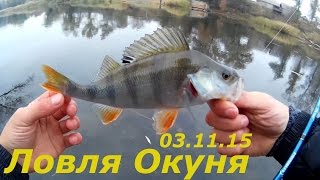 Ловля окуня на отводной поводок! Делюсь секретами успешной ловли КРУПНОГО ОКУНЯ
