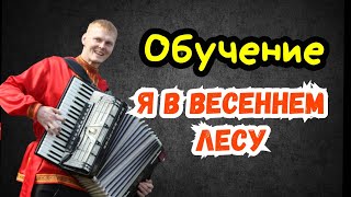 Обучение | Как Играть Песню Я в Весеннем Лесу на Аккордеоне