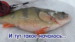 C ветерком в Гелоть. На снегоходе за крупным окунем.