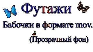 Футажи бабочки с прозрачным фоном mov.(Footages butterflies)