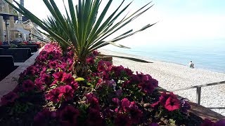 ✦УТРО НА МОРЕ.ПАРК.УЛ ПАВЛОВА ЛАЗАРЕВСКОЕ 15.05.2019