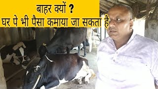 देश-विदेश जाना बंद करो,और कर लो ये काम सुरु Stop going abroad and do it