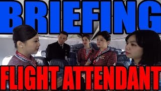 Cockpit View - BRIEFING FLIGHT ATTENDANT