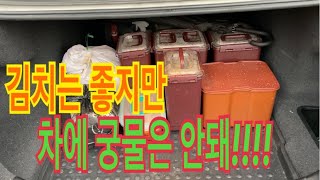 김장철 내차 김치냄새 방지 꿀팁(feat 시골 개소리)