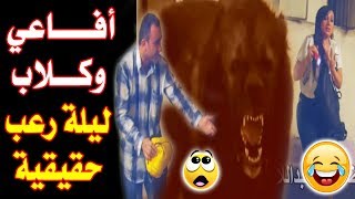 بيت مهجور و مسكون بالاشباح كان عنوان لكاميرا خفية مع الاعلامية العراقية شهد التكريتي و لا اروع