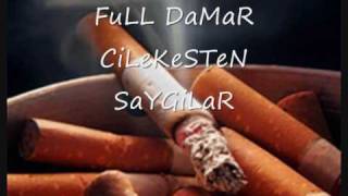 %100 DaMaR DiNLeMeYe DeGeR !