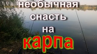 НЕОБЫЧНАЯ  карповая  СНАСТЬ на реку