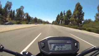 2014 Honda Grom First Ride!