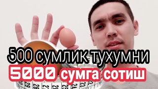 Бизнес. Уй шароитида ажойиб бизнес бошлаш усули