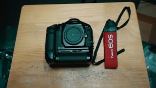 The 1DX Mark II for film // Canon EOS 1V + AgfaPhoto Vista 400