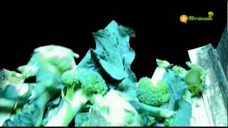 Cómo se cultiva el brócoli