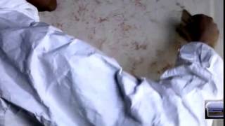 Декоративная штукатурка стен Цена под мелкий песок Купить штукатурку и венецианская краска покрытия