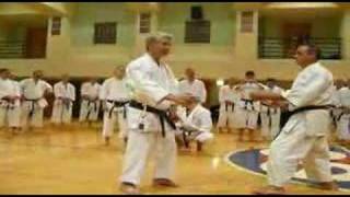Karate Tradicional - Nishiyama Sensei