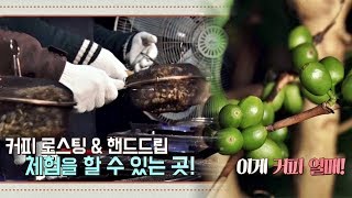 [커피 박물관] 역사는 물론 '커피 농장' 체험까지! 오늘, 굿데이 67회